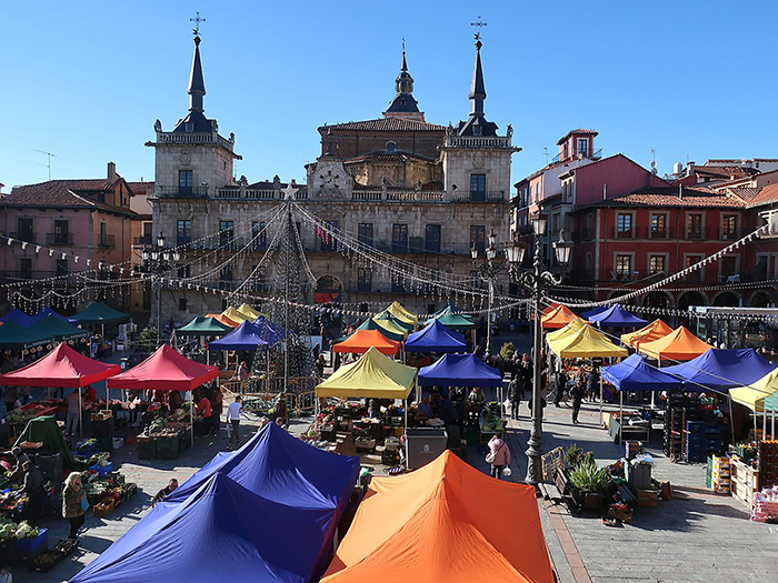 Market in Plaza Mayor, León, Castile and León, Spain