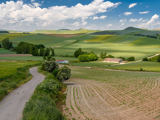 Stage 10: Santo Domingo de la Calzada to Belorado on the Camino Francés
