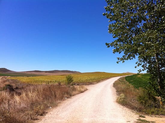 Stage 15: Castrojeriz to Fromista on the Camino Francés