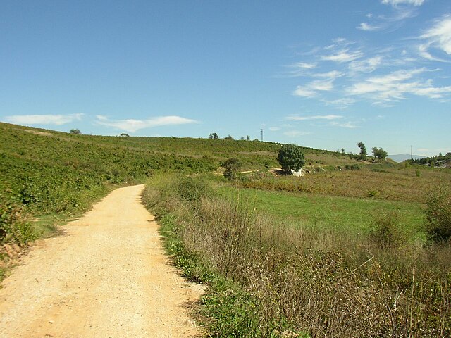 Camponaraya, Leon